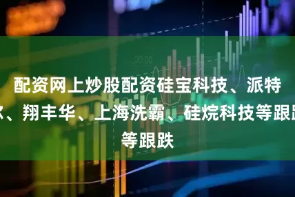 配资网上炒股配资硅宝科技、派特尔、翔丰华、上海洗霸、硅烷科技等跟跌