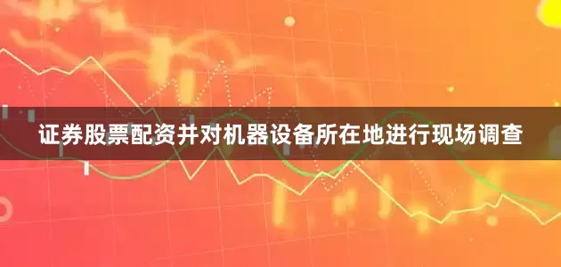 证券股票配资并对机器设备所在地进行现场调查