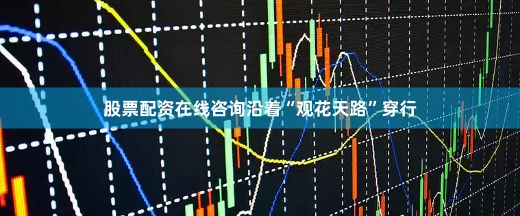 股票配资在线咨询沿着“观花天路”穿行