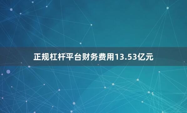 正规杠杆平台财务费用13.53亿元