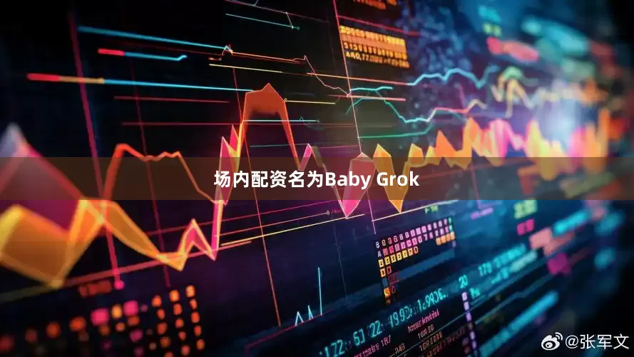 场内配资名为Baby Grok