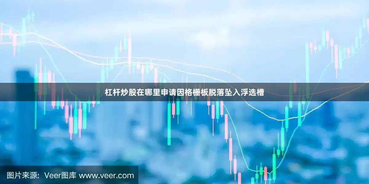 杠杆炒股在哪里申请因格栅板脱落坠入浮选槽