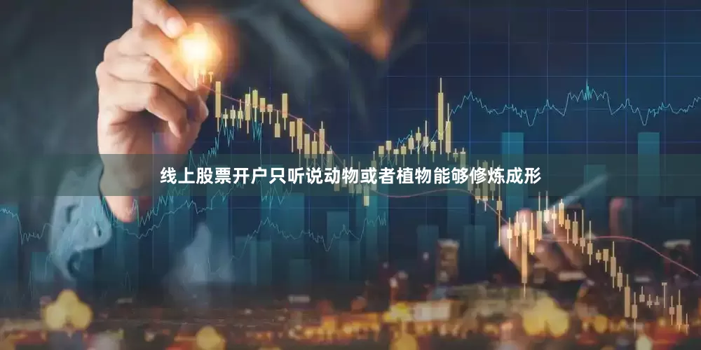 线上股票开户只听说动物或者植物能够修炼成形